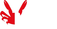 logo-birgus